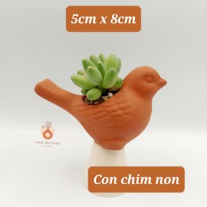 Chậu đất nung chậu sen đá - Con chim non 58 miệng chậu 5cm chiều cao 8cm