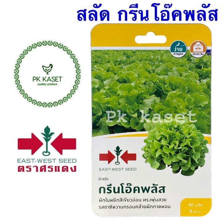 เมล็ดผักสลัด กรีนโอ๊คพลัส ศรแดง 40 เมล็ด