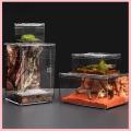 [Soloya]💖[HOT SALE]🎈🎈 Reptile Breeding Box Lizard Kennel Amphibian Terrarium Transparent Acrylic Feeding Cage Ecological Insect Spider Habitat. 