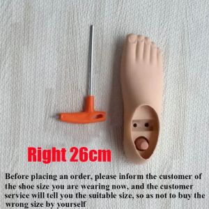 Prosthetic Foot Plate Dual-Hole Ankle-Foot Polyurethane Artificial Foot for Lower Limb Amputees with Residual Limb Socks