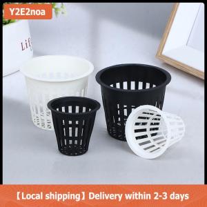 【Local shipping】 10Pcs 2 Inch 3 Inch Grow Orchids Hydroponics Cups Planting Mesh Pot Soilless Net Basket Slotted Colonization Container