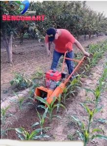 Máy xới  cỏ ngô    vun gốc lạc  đậu tương