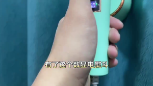 Portable Handheld Steamer Iron Support Dry and Wet Ironing 15S Fast Heating Small Iron for Home and Travel