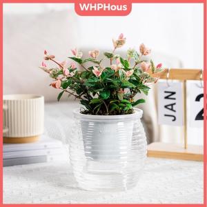 WHPHous Automatic Water-Absorbing Self-Watering Plant Pots Double Layer Transparent Flower Vase Plastic Home Decorations 1PC