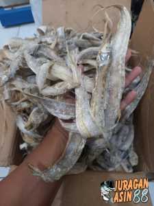 ikan layur asin murah kemasan 500gr
