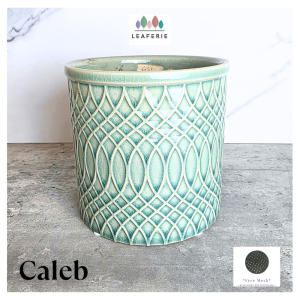 The Leaferie Caleb plant pots. flowerpot . flowerpots . flower pot . planter planters Ceramic