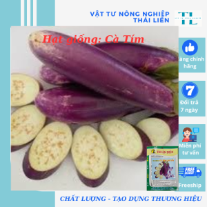 Hạt giống Cà tím cơm xanh (cà tím dài) hàng công ty Thuận Điền