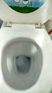 Auto Toilet Flush DisinfectantCLEAN DEODORIZES FRESHENER (100gm) [Top Clean]