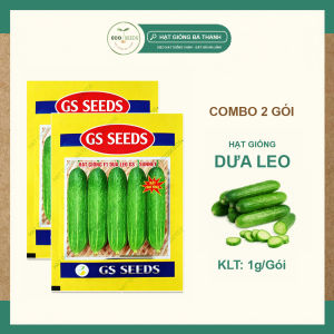 [EcoSeeds] Combo 2 Gói Hạt Giống Dưa Leo (Dưa Chuột) F1 GS Sunney - Dễ Trồng Rất Sai Trái - Gói 1g