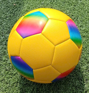 Quả bóng đá tiêu chuẩn Loại 3 lớp Banh da số 5