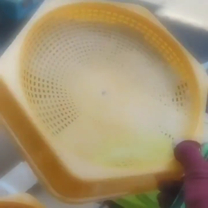 ชามพลาสติกอเนกประสงค์ทรงหกเหลี่ยมใช้ใส่ไข่เพื่อความปลอดภัยพื้นที่ฟักไข่