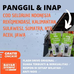 Suara Panggil Burung Walet Terbaik Luar Dalam Original