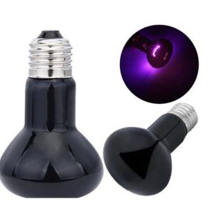 GONOVO Hồng ngoại Đèn Led sưởi ấm cho thú cưng UVA Có thể điều chỉnh Bóng đèn nhiệt bò sát Đèn ngủ 220-230V Bóng đèn ban ngày UVA Bò sát
