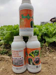 Phân Bón Lá Top One - Giúp Ngọn Mập Lá Dày Bật Chồi Mạnh Kích Rễ Tăng Năng Suất An Toàn Tuyệt Đối - Chai Dung Dịch Cô Đặc 500ml