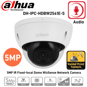 Dahua IP Camera 5MP With Audio Intelligent Monitoring Motion Detection IK10 Protection Dome Network Camera POE Camera