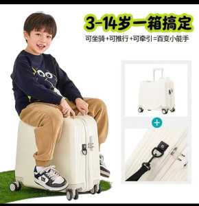 2PCS Trolley Luggage Travel suitcase travel bag password carry bag