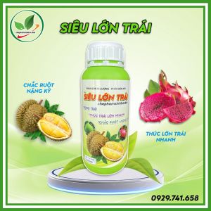 Phân bón vi lượng  - Phân bón MT1. SIÊU LỚN TRÁI. Chai 500ml