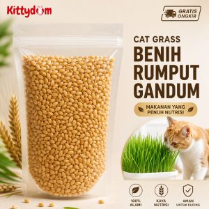 KITTYDOM Benih Rumput Kucing Cat Grass Wheat Grass Seed 50gr Bibit Gandum Premium Microgreen Organik Oat Grass Pet Grass Hairball Makanan Kucing Kitten Adult Hamster Kelinci Sugar Glider