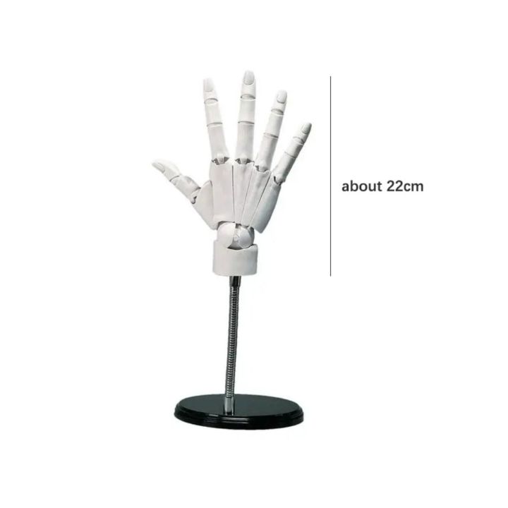 lập trình python cơ bản - machine learning -... PICKIT Có thể di chuyển Mô hình bàn tay Fexible PVC Ma Nơ Canh nghệ ...