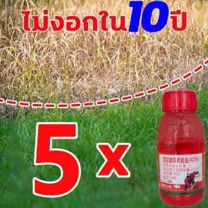 1ขวดกำจัดต้นไม้100ต้น ยากำจัดต้น 200ML สารกำจัดกอไผ่ ปลอดภัยสำหรับดินและพืช บอกลาการตัดต้นไม้ ยาฆ่ารากต้นไม้ที่มีประสิทธิภาพสูง ใช้งานง่าย ผลลัพธ์ที่ยาวนานกำจัดต้นไม้ ไม่มีการเจริญเติบโตของพืชที่ไม่ต้องการอีกต่อไป มีประสิทธิภาพต่อรากวัชพืช ยาฆ่าต้นไม้ใหญ