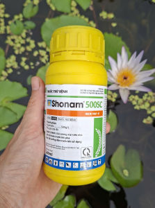 [ TRUNG THIEN THINH] SHONAM 500SC Chai 240ML Trừ Nấm Mốc Đạo Ôn Khô Vằn Phấn Trắng...