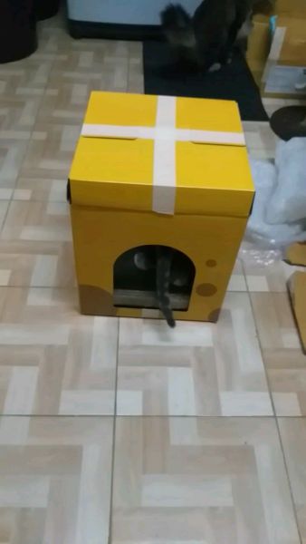 Buyer review video 4