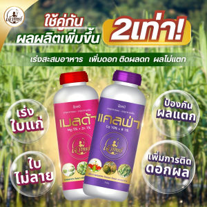 [เซตคู่ สุดคุ้ม] ปุ๋ยน้ำ เมลด้า + แคลฟ่า หยุดใบอ่อน เร่งใบแก่ สะสมอาหารได้ดี ป้องกันผลแตก ผลเน่า ไส้ซึม ไส้ล้ม ไส้กลวง บำรุงขั้วดอกผลให้เหนียวร่วงยาก ขนาด 1 ลิตร