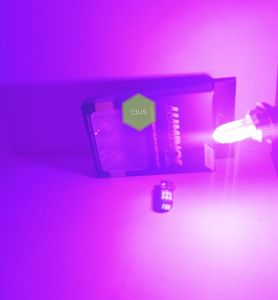 SATU PCS LAMPU LED MOTOR T10 15 TITIK JELLY UNTUK SEIN SENJA PLAT NOMOR MOTOR DAN MOBIL LUMINOS