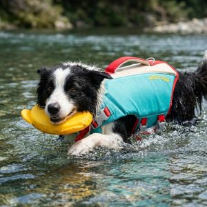 STARRY Strong Buoyancy Dog Life Jacket Waterproof Adjustable Dog Swimming Suit Dog Swimsuit Quick Drying Dog Life Preserver Swimming