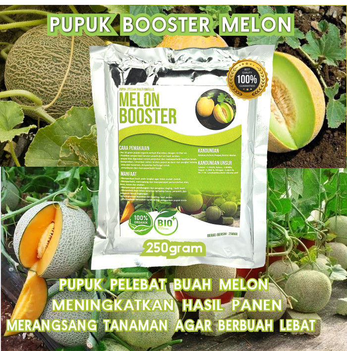 Pupuk Booster Melon 250gr| Pupuk Organik Perangsang Buah | Melebatkan ...