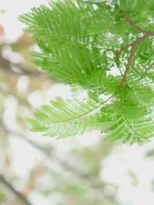 Lazy Halter Fan Charging Mute Portable Wind Dormitory Students Portable Hot Weather usb Mini Little Fan