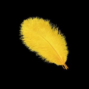 JAYNEBIO 10Pcs Stage Props Ostrich Feathers 15-20cm Table Accessories Ostrich Plumes Gifts DIY Artificial Ostrich Feather Wedding Decoration