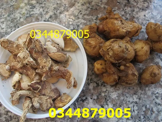 C%E1%BB%A7%20x%C3%A1%20k%C3%A9n/x%C3%A1%20ki%E1%BA%BFng%20kh%C3%B4%200.5kg%20-%20Image%202