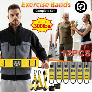 12-Piece Premium Pro Resistance Band Set - 200LBs Total Space-Saving Home Gym Workout Equipment