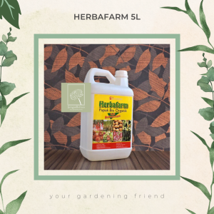 Herbafarm Pupuk Organik Cair 5 Liter