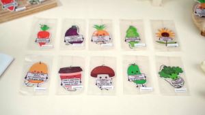 30 Pcs Positive Car Air Fresheners Bulk Employee Appreciation Gift Funny Car Hanging Ornament Scented Incense Chip Dietician Appreciation Gifts for Driver Staff Teacher Nurse Team 10 Styles