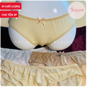 ComBo 5 Quần Lót Nữ Ép Bông Cao Cấp Mát Mịn Quần Chíp Co Giãn Thoáng Khí Lớp Lót Thấm Hút Kháng Khuẩn - Nội Y Đồ Lót : Beteen