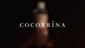 Cocorrína Reed Diffuser Refill - Clean Linen 6.7 oz. Scented Oil for Reed Diffuser Home Fragrance for Bedroom Bathroom Home Decor
