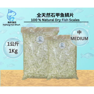 深海石甲鱼鳞片/鱼鳞片（中）/Dried Fish Scale（M）/Sisik Ikan Siakap /1KG