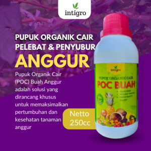 Pupuk Pembesar Buah Anggur / Obat Hormon Pembesar Tanaman Buah Anggur / POC Pelebat Penyubur Anggur