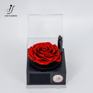 【Local Seller】Gramophone Music Box Preserved Flower Rose Eternal Flower Bluetooth Speaker Gifts