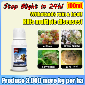 Dimethomorph systemic fungicide(40%) 100ml Specially for downy mildew and late blight Targeted Curative Fungicide