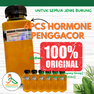 Paket Grosir 6 Pcs Hormone Penggacor Seketika 250ml Gacor Instant Dongkrak Performa  Burung Kicau