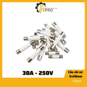 ( Túi 5 chiếc ) Cầu chì sứ 30A 250V 5x20mm chất lượng tốt - Fixpro