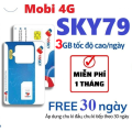Sim VNSKY SKY79 , 3GB/ngày tốc độ cao truy cập mạng , FREE tháng đầu, tháng sau gia hạn 79k/tháng . FREESHIP - CHƯA KÍCH HOẠT. 