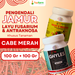 Fungisida Topfarm / Obat Jamur Akar Tanaman Cabe / Obat Jamur Cabe / Obat Jamur Pada Cabe / Obat Jamur Untuk Tanaman Cabe / Obat Jamur Untuk Cabe / Obat Jamur Pada Tanaman Cabe Keriting Merah