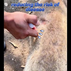 PETVIGOR Pet Skin Treatment Spray For Dog And Cat Skin Disease Treatment Itch Relief Cat Hair Loss