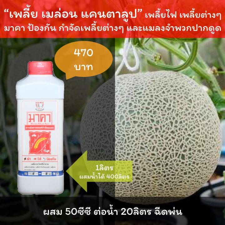 %E0%B8%A2%E0%B8%B2%E0%B8%86%E0%B9%88%E0%B8%B2%E0%B9%80%E0%B8%9E%E0%B8%A5%E0%B8%B5%E0%B9%89%E0%B8%A2%E0%B8%9F%E0%B8%B1%E0%B8%81%E0%B8%82%E0%B9%89%E0%B8%B2%E0%B8%A7%20%E0%B8%A1%E0%B8%B2%E0%B8%84%E0%B8%B2%20%E0%B8%AA%E0%B8%B2%E0%B8%A3%E0%B8%AD%E0%B8%B4%E0%B8%99%E0%B8%97%E0%B8%A3%E0%B8%B5%E0%B8%A2%E0%B9%8C%20%E0%B8%84%E0%B8%B8%E0%B8%93%E0%B8%A0%E0%B8%B2%E0%B8%9E%E0%B8%AA%E0%B8%B9%E0%B8%87%20%E0%B8%9B%E0%B8%A5%E0%B8%AD%E0%B8%94%E0%B8%A0%E0%B8%B1%E0%B8%A2%20%E0%B8%9F%E0%B8%B1%E0%B8%81%E0%B8%82%E0%B9%89%E0%B8%B2%E0%B8%A7%E0%B9%83%E0%B8%9A%E0%B8%AB%E0%B8%87%E0%B8%B4%E0%B8%81%20%E0%B9%80%E0%B8%9E%E0%B8%A5%E0%B8%B5%E0%B9%89%E0%B8%A2%E0%B9%84%E0%B8%9F%E0%B8%9F%E0%B8%B1%E0%B8%81%E0%B8%82%E0%B9%89%E0%B8%B2%E0%B8%A7%20%E0%B9%80%E0%B8%9E%E0%B8%A5%E0%B8%B5%E0%B9%89%E0%B8%A2%20%E0%B8%9F%E0%B8%B1%E0%B8%81%E0%B8%82%E0%B9%89%E0%B8%B2%E0%B8%A7%20%E0%B9%80%E0%B8%9E%E0%B8%A5%E0%B8%B5%E0%B9%89%E0%B8%A2%E0%B8%95%E0%B9%88%E0%B8%B2%E0%B8%87%E0%B9%86%20-%20Image%203