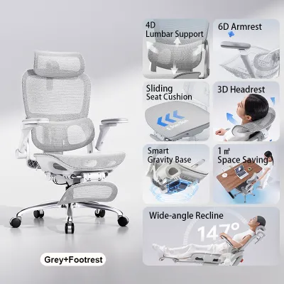 [Pre-Order] TakeAseat Ergonomic Office Chair SIHOO B300 Pro Mesh Chair 6D Armrests Adjustable Lumbar Support Home Office Easy Self Setup