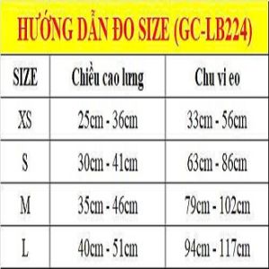 Đai chống gù lưng điều chỉnh tư thế Grace Care LB224